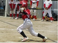 lions005