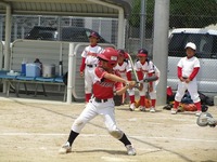 lions006