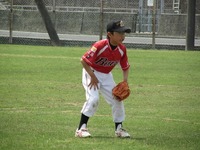 lions003