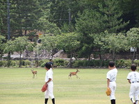 conv0039