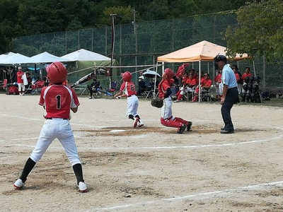 line_540550679012140