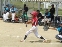 lionsb010