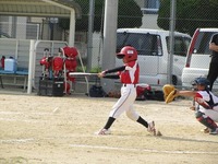 lions008