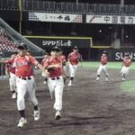 ２０１０マツダスタジアム１