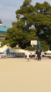 IMG00437