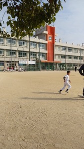 IMG00461