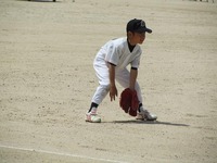 lionsb003