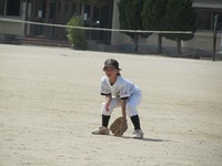 lionsb011